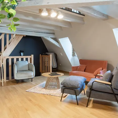 Appartement Duplex Atypique Au Coeur De Mulhouse Extérieur photo