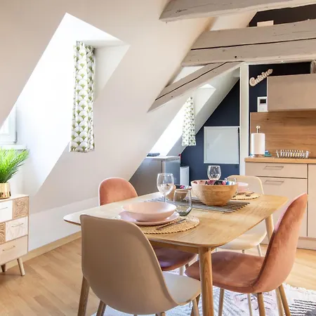 Appartement Duplex Atypique Au Coeur De Mulhouse Extérieur photo