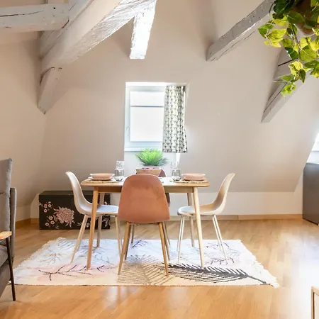 Appartement Duplex Atypique Au Coeur De Mulhouse Extérieur photo