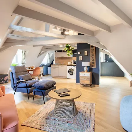 Appartement Duplex Atypique Au Coeur De Mulhouse Extérieur photo