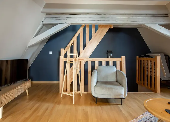 Duplex Atypique Au Coeur De Mulhouse