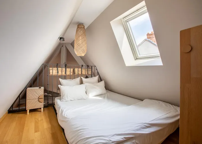 Duplex Atypique Au Coeur De Mulhouse