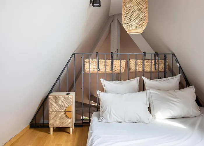 Duplex Atypique Au Coeur De Mulhouse