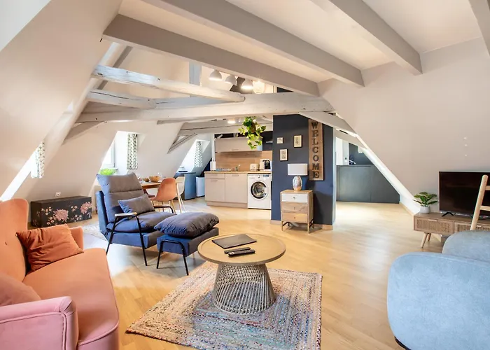 Duplex Atypique Au Coeur De Mulhouse