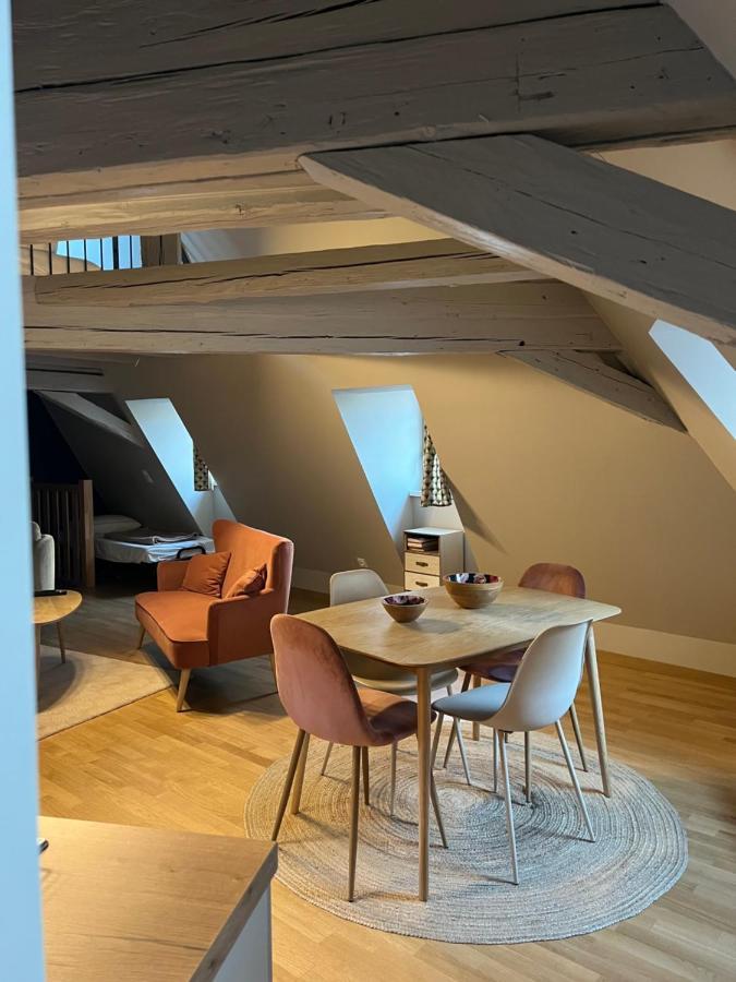 Duplex Atypique Au Coeur De * Mulhouse
