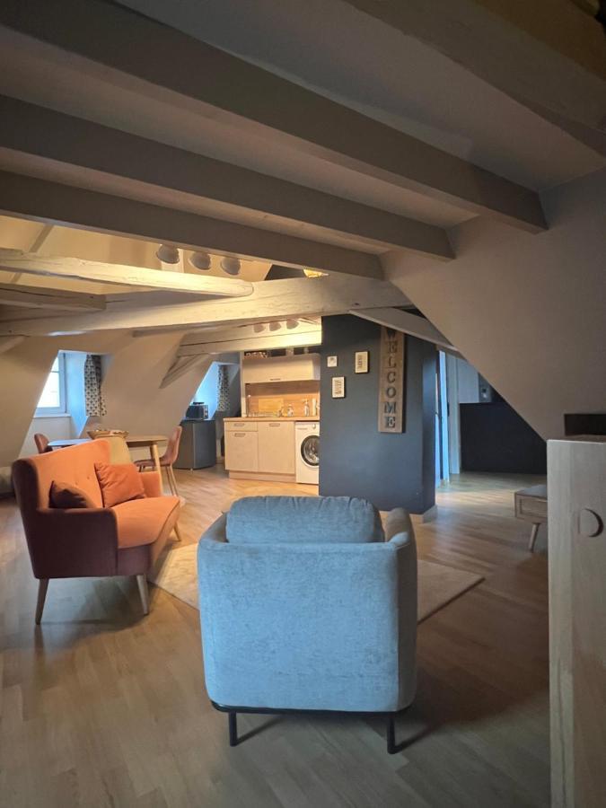 Apartment Duplex Atypique Au Coeur De Mulhouse