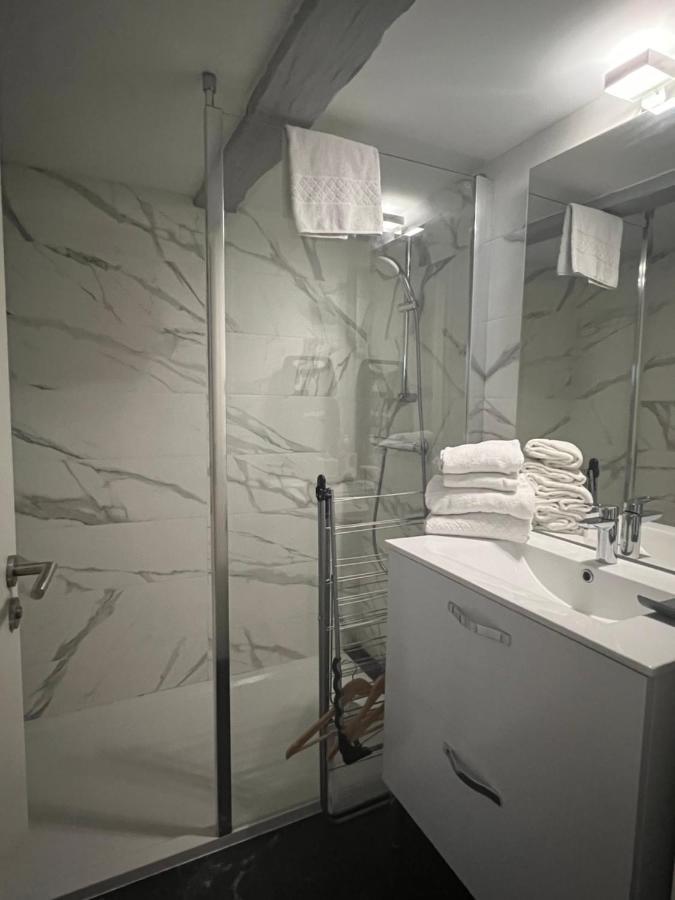 Duplex Atypique Au Coeur De Apartment Mulhouse