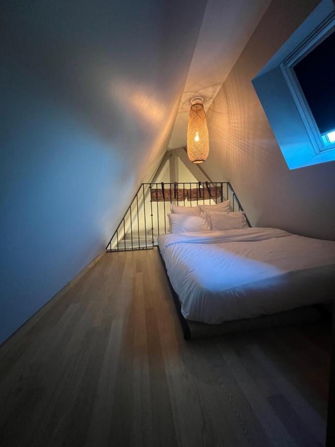 Duplex Atypique Au Coeur De Apartment Mulhouse